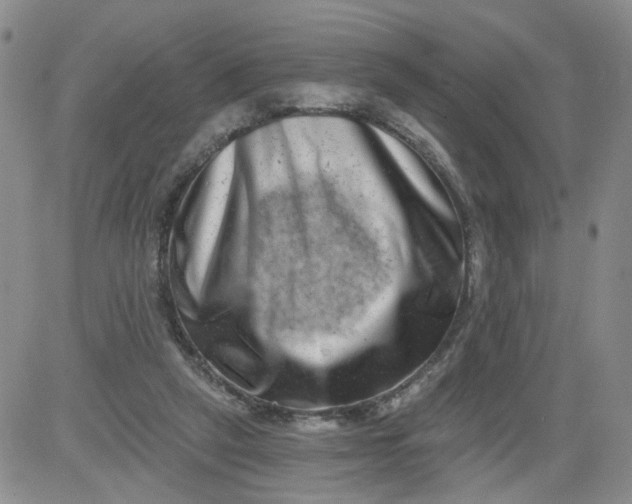 X0000084040257200703022156