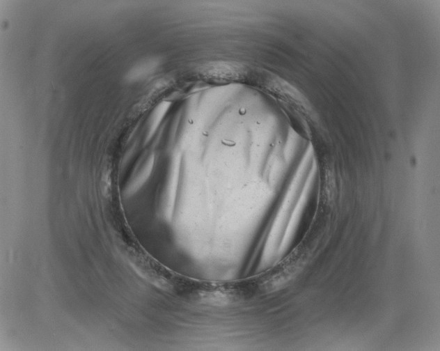 X0000084040259200703022156