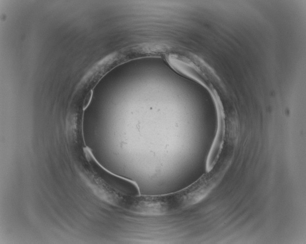 X0000084040260200703022156