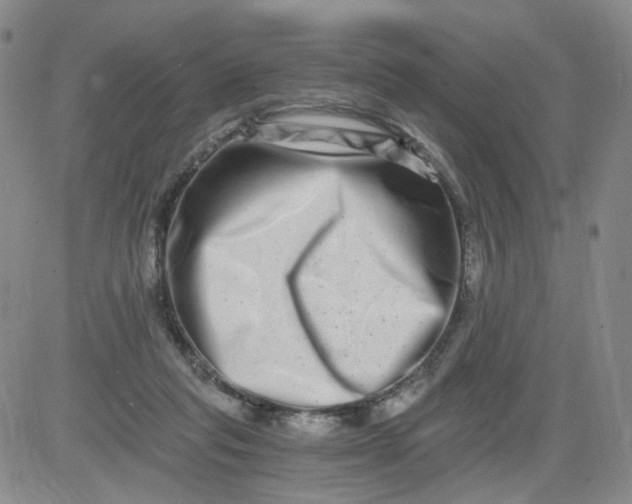 X0000084040261200703022156