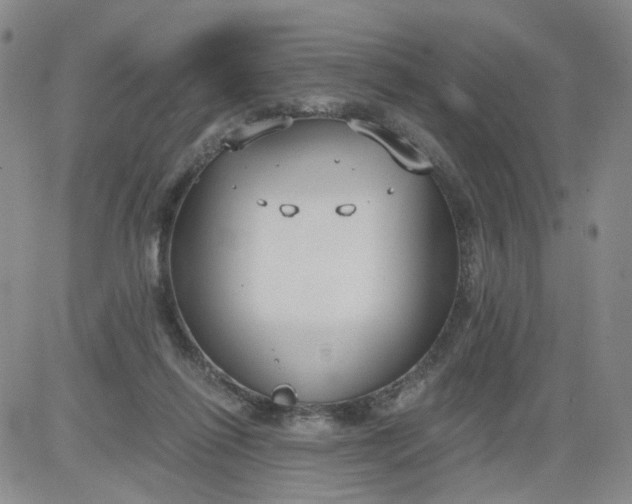 X0000084040262200703022156