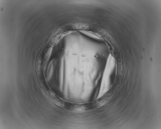 X0000084040263200703022156