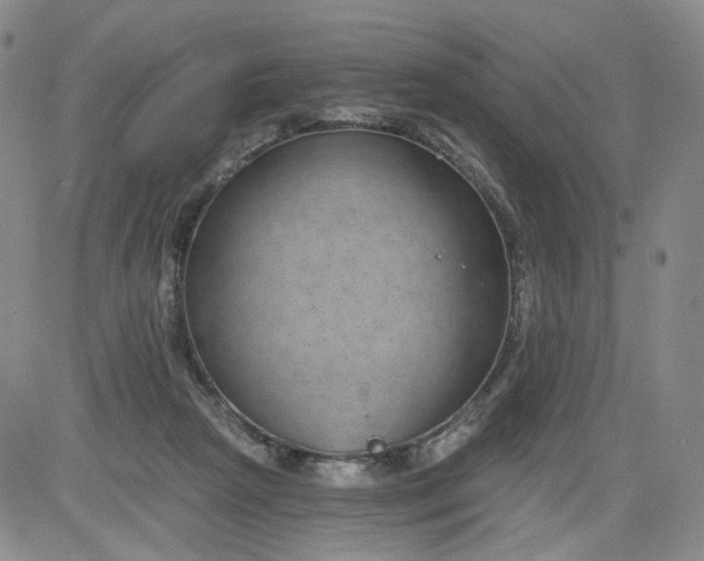 X0000084040265200703022156