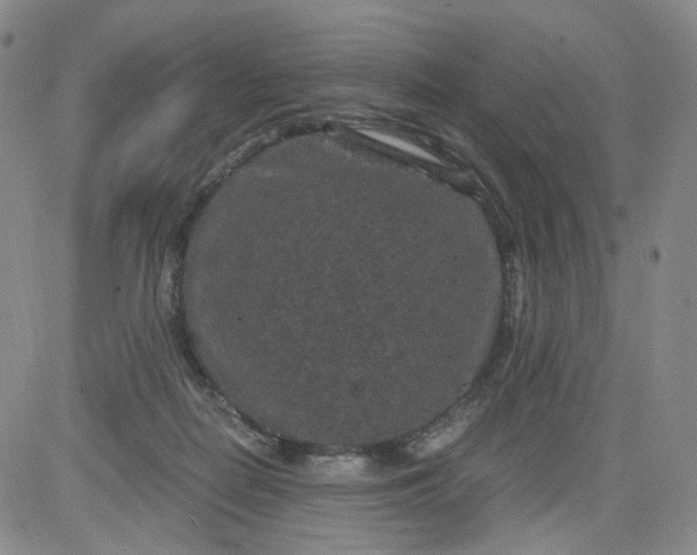 X0000084040266200703022156