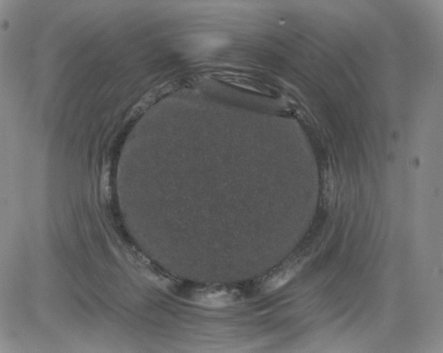 X0000084040267200703022156