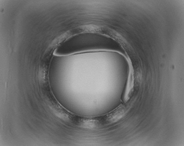 X0000084040268200703022156