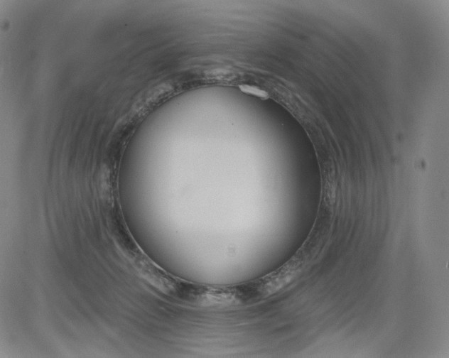 X0000084040270200703022156