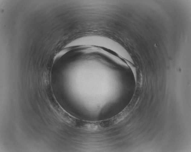 X0000084040272200703022156