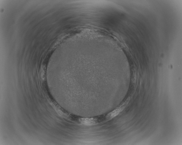 X0000084040273200703022156