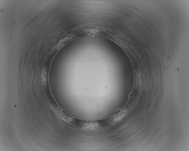 X0000084040274200703022156