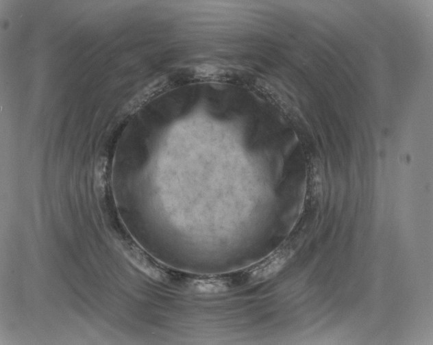 X0000084040275200703022156