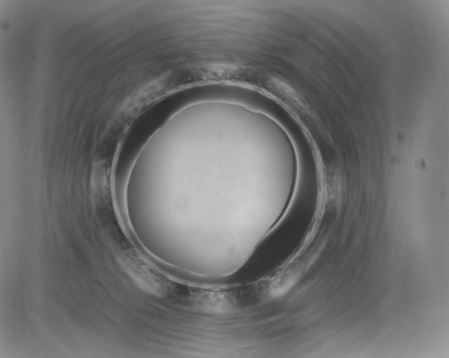 X0000084040276200703022156