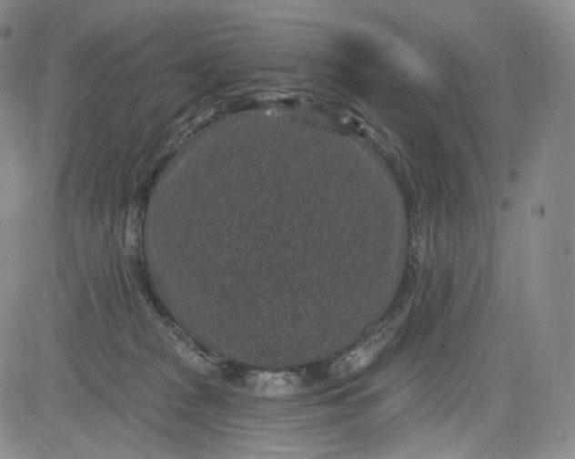 X0000084040277200703022156