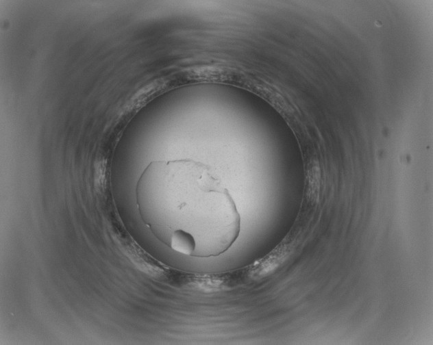 X0000084040278200703022156