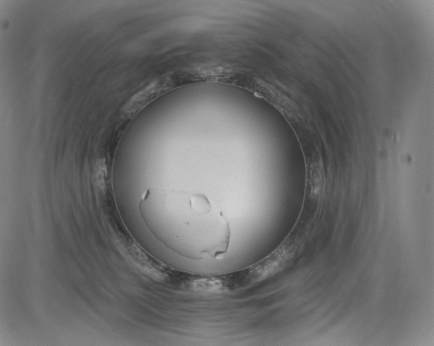 X0000084040279200703022156