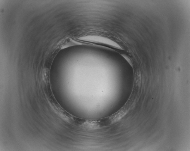 X0000084040280200703022156