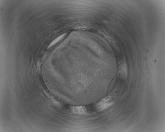 X0000084040281200703022157