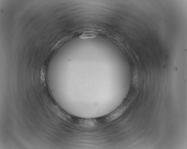 X0000084040282200703022157