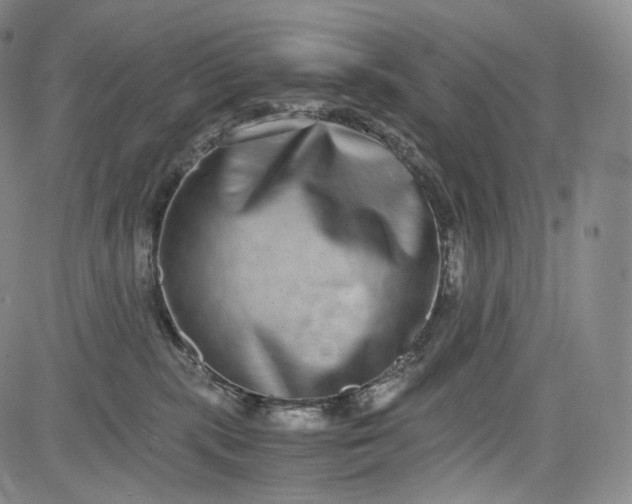 X0000084040283200703022157