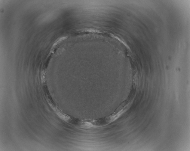 X0000084040285200703022157