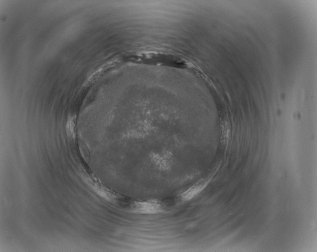 X0000084040286200703022157