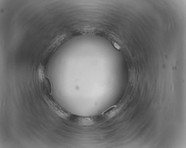 X0000084040287200703022157