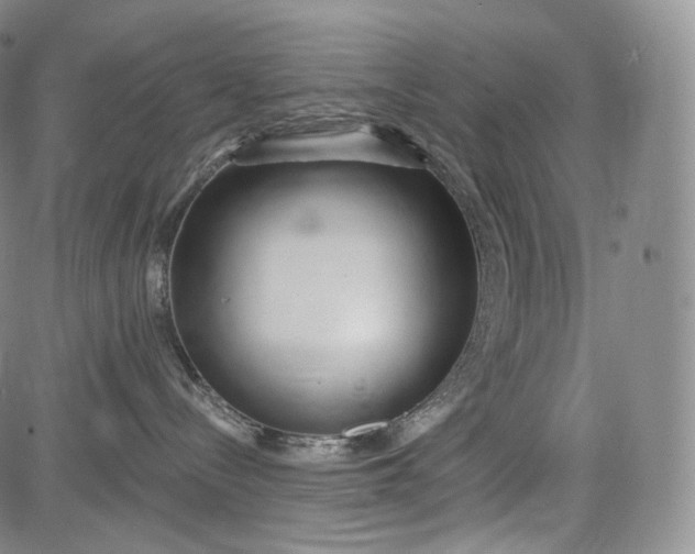 X0000084040288200703022157