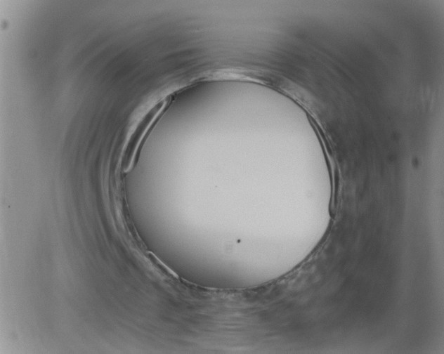 X0000084040289200703022156