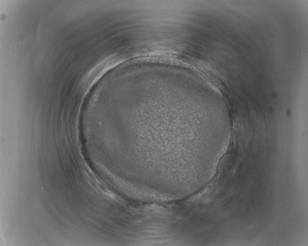 X0000084040290200703022156