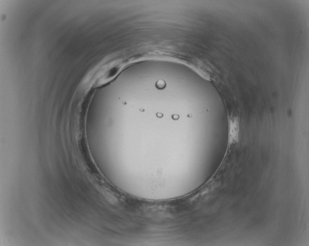 X0000084040291200703022156