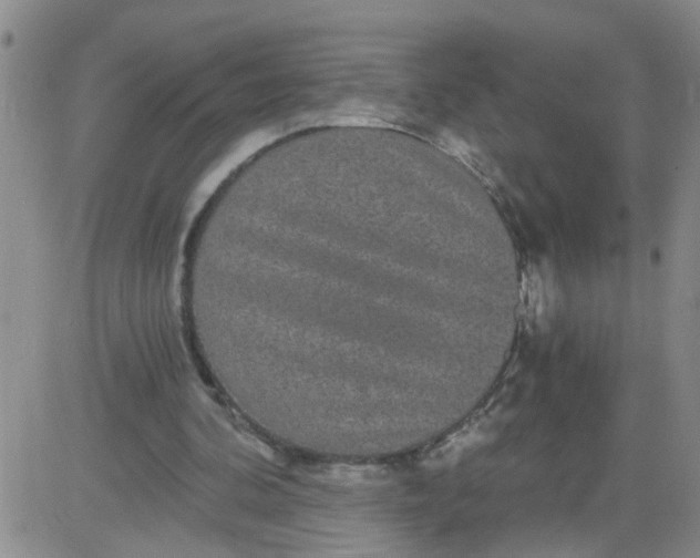 X0000084040292200703022156