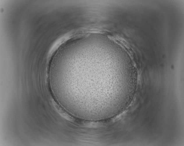 X0000084040293200703022156