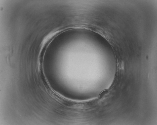 X0000084040294200703022156