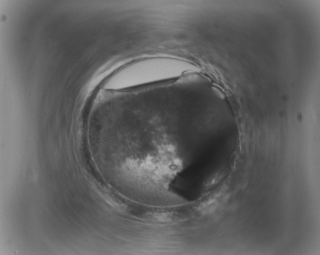 X0000084040295200703022156