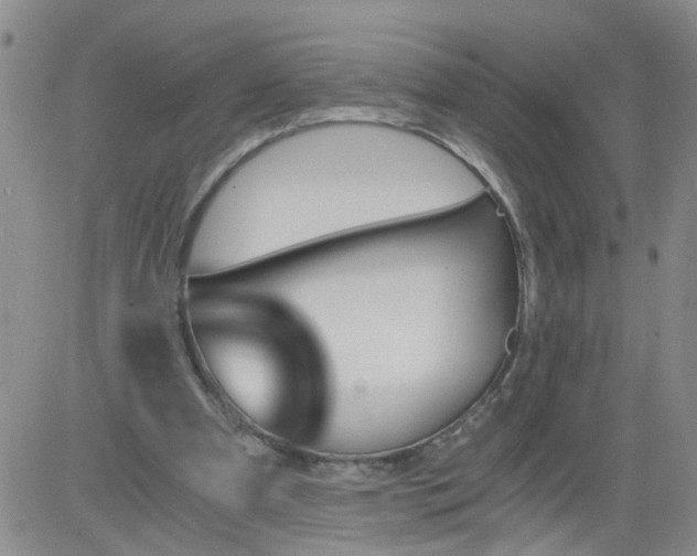 X0000084040297200703022156