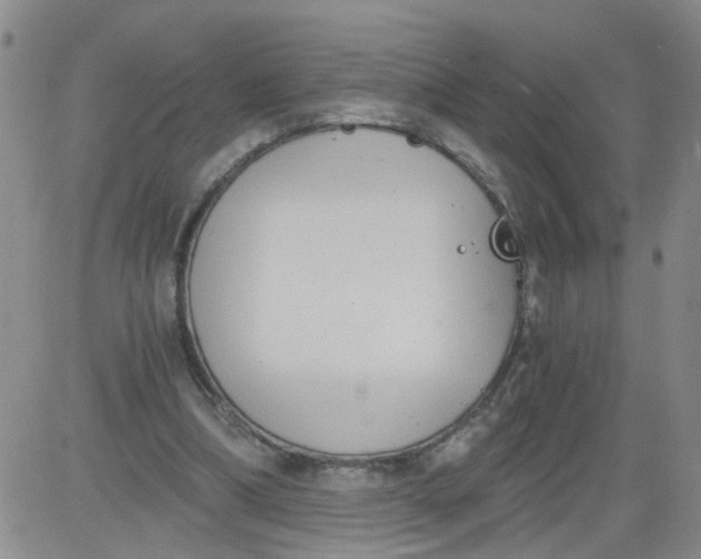 X0000084040298200703022156