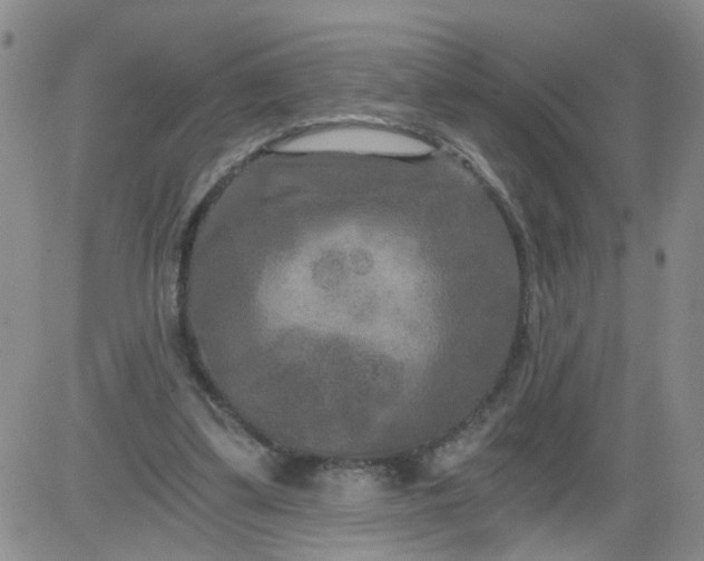 X0000084040299200703022156