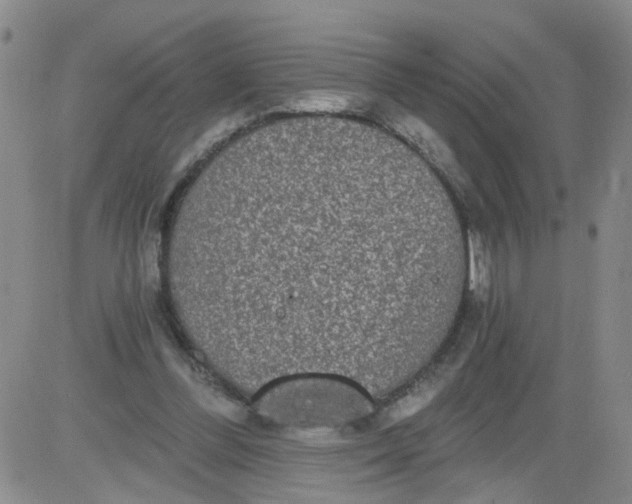 X0000084040300200703022156