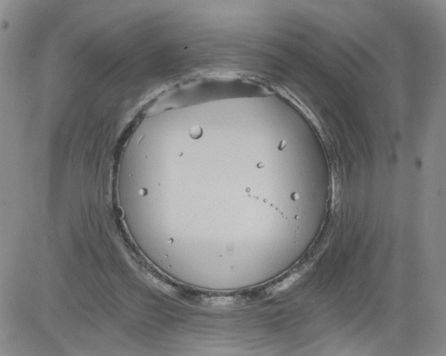 X0000084040301200703022156