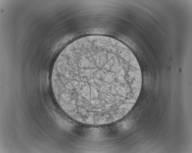 X0000084040302200703022156