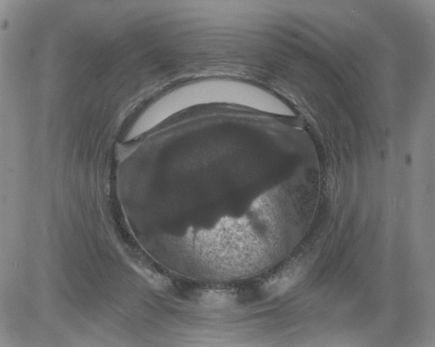 X0000084040303200703022156