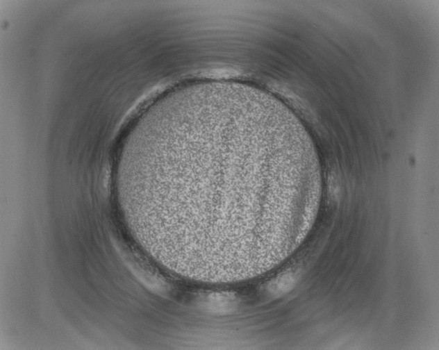 X0000084040304200703022156