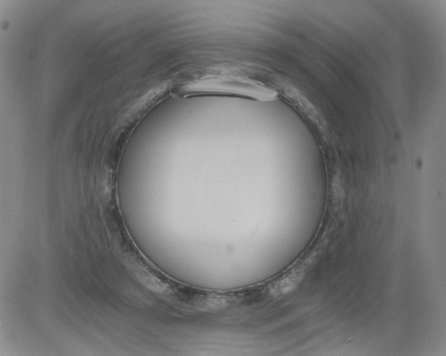 X0000084040305200703022156