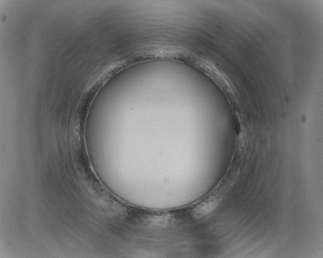 X0000084040306200703022156