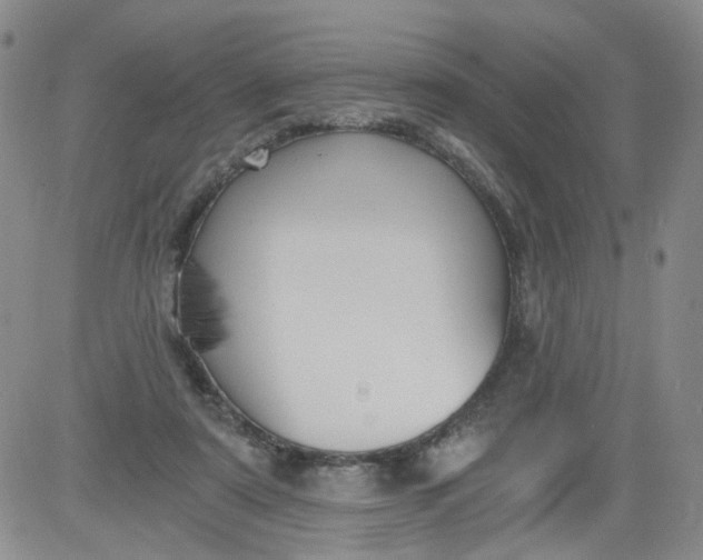 X0000084040307200703022156