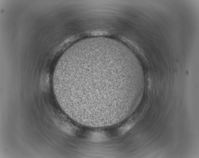 X0000084040308200703022156