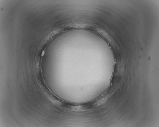 X0000084040309200703022155