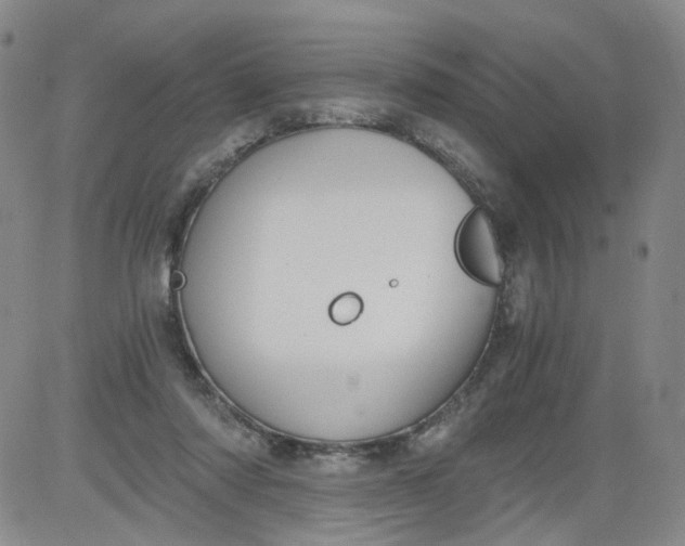 X0000084040310200703022155