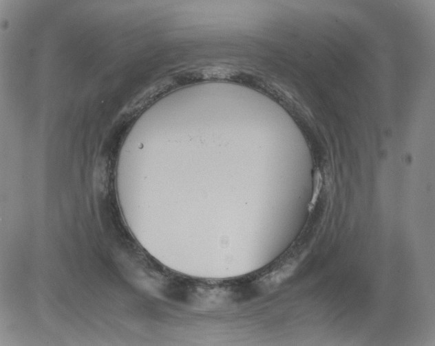 X0000084040311200703022155