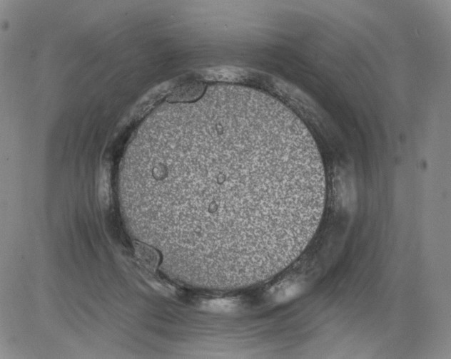 X0000084040312200703022155